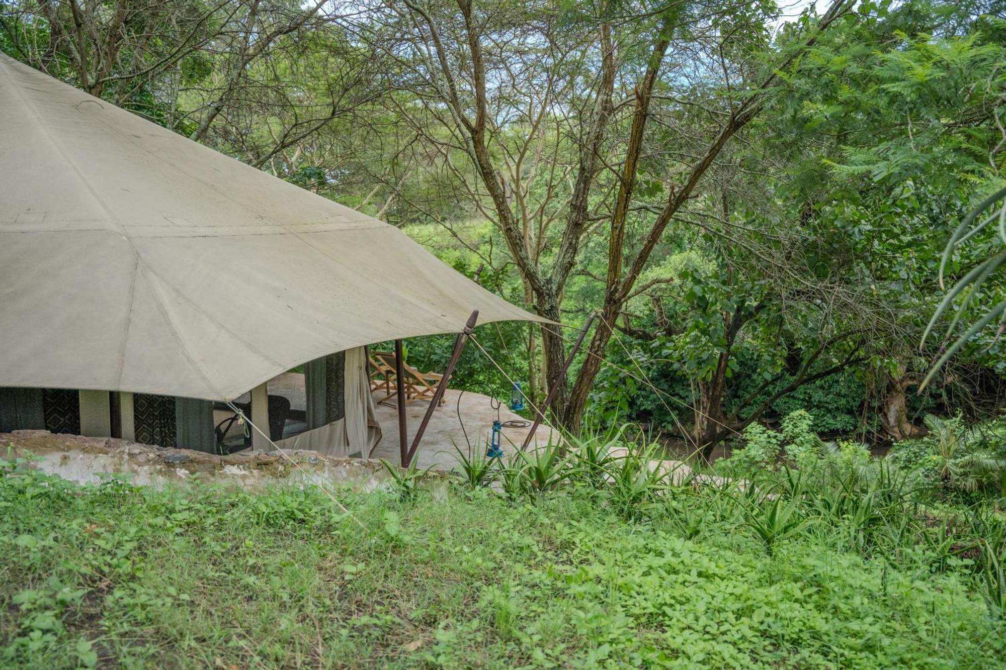 Dolly Farm & River Camp, Luxury Tents Usa River 외부 사진