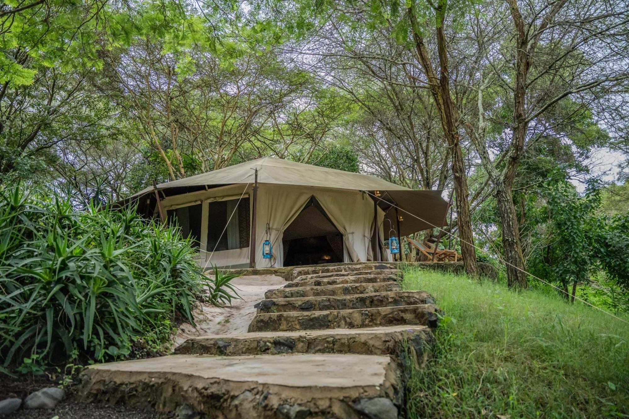 Dolly Farm & River Camp, Luxury Tents Usa River 외부 사진
